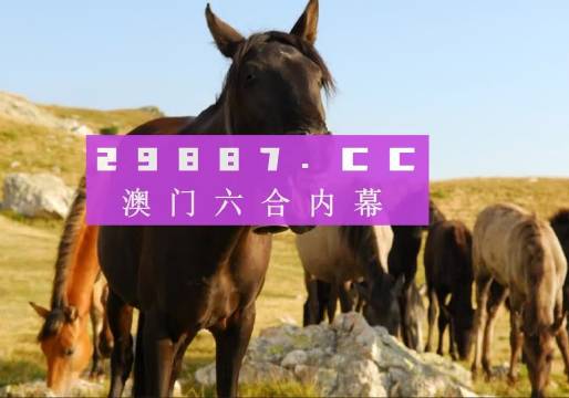 管家婆一肖一码最准资料公开-澳门释义成语解释