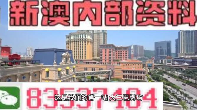 2024新澳正版免费资料大全-精选解释解析落实